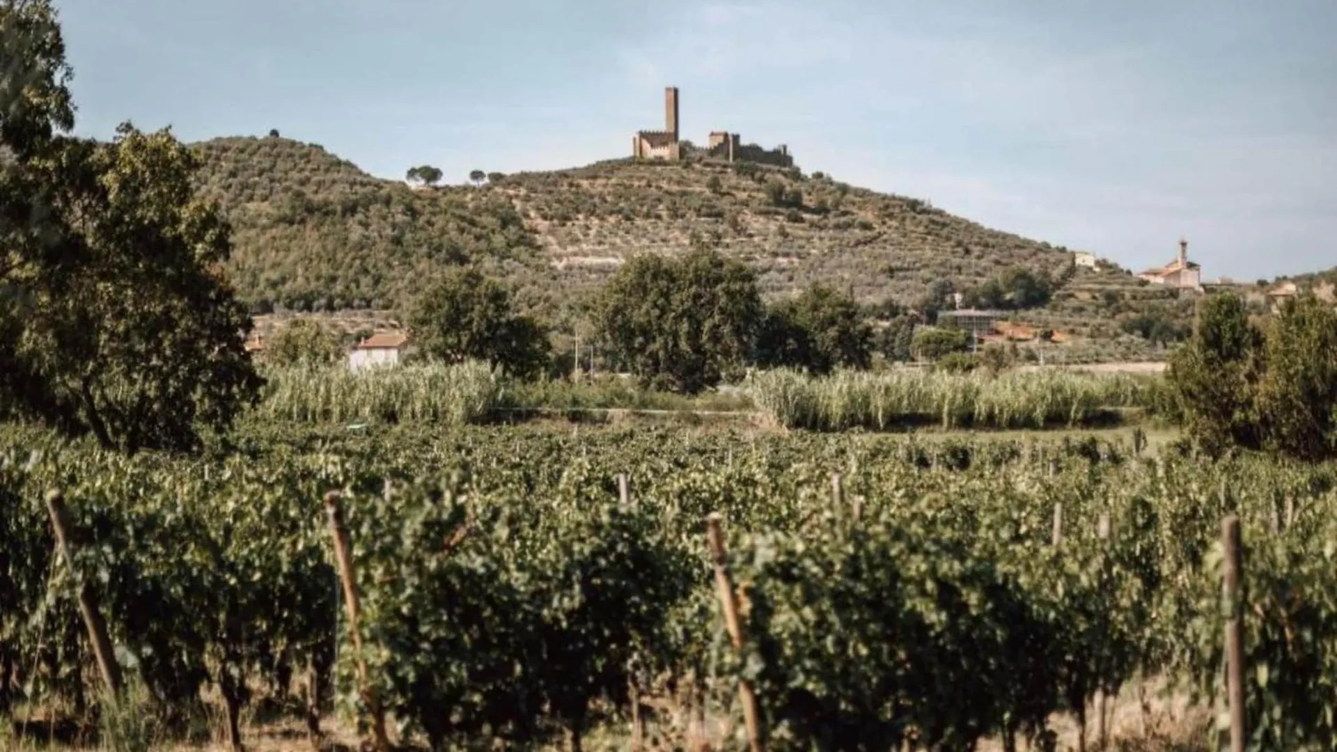 Belvilla By Oyo Orchidea Castiglion Fiorentino Hébergement de vacances